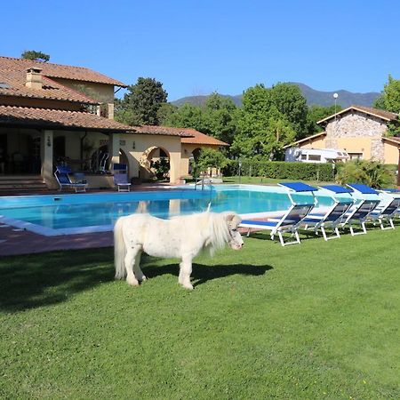 Podere San Paolo ซานจูเลียโน แตร์เม ภายนอก รูปภาพ