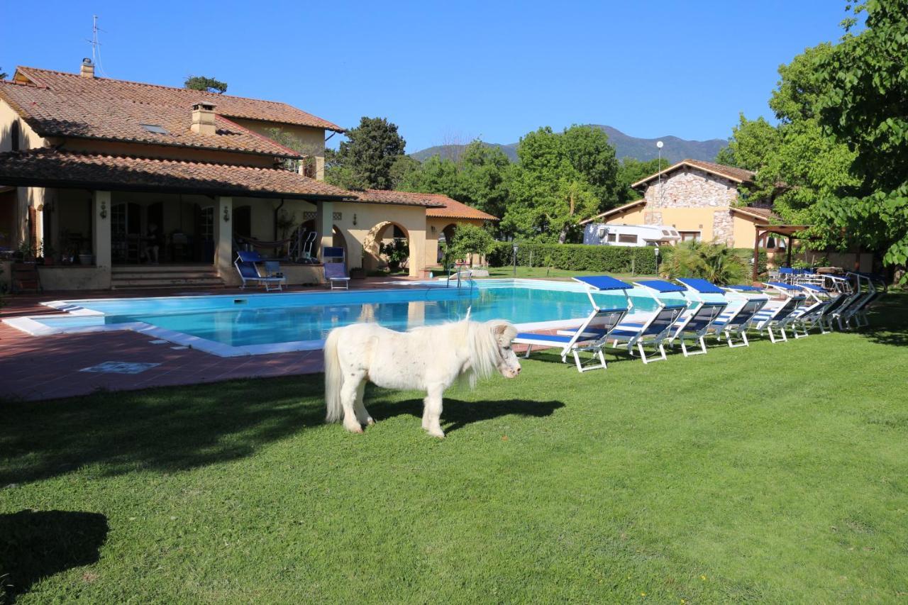 Podere San Paolo ซานจูเลียโน แตร์เม ภายนอก รูปภาพ