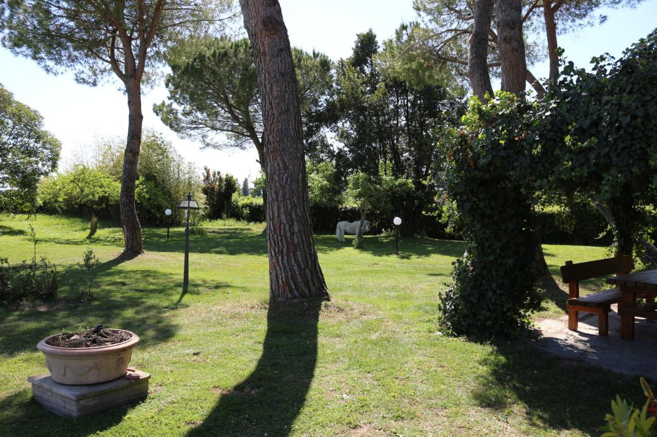 Podere San Paolo ซานจูเลียโน แตร์เม ภายนอก รูปภาพ